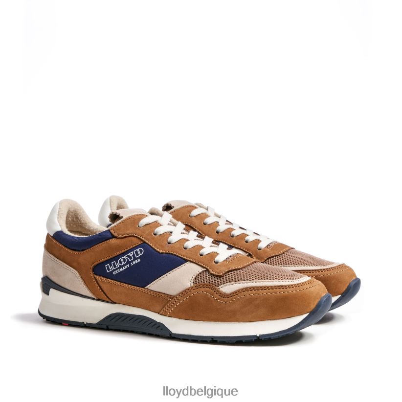 LLOYD Éloy Hommes brun 4Z6Z66371 chaussures