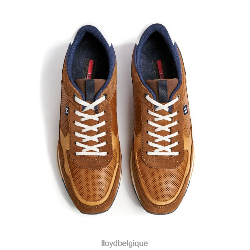 LLOYD Émilien Hommes brun 4Z6Z66282 chaussures