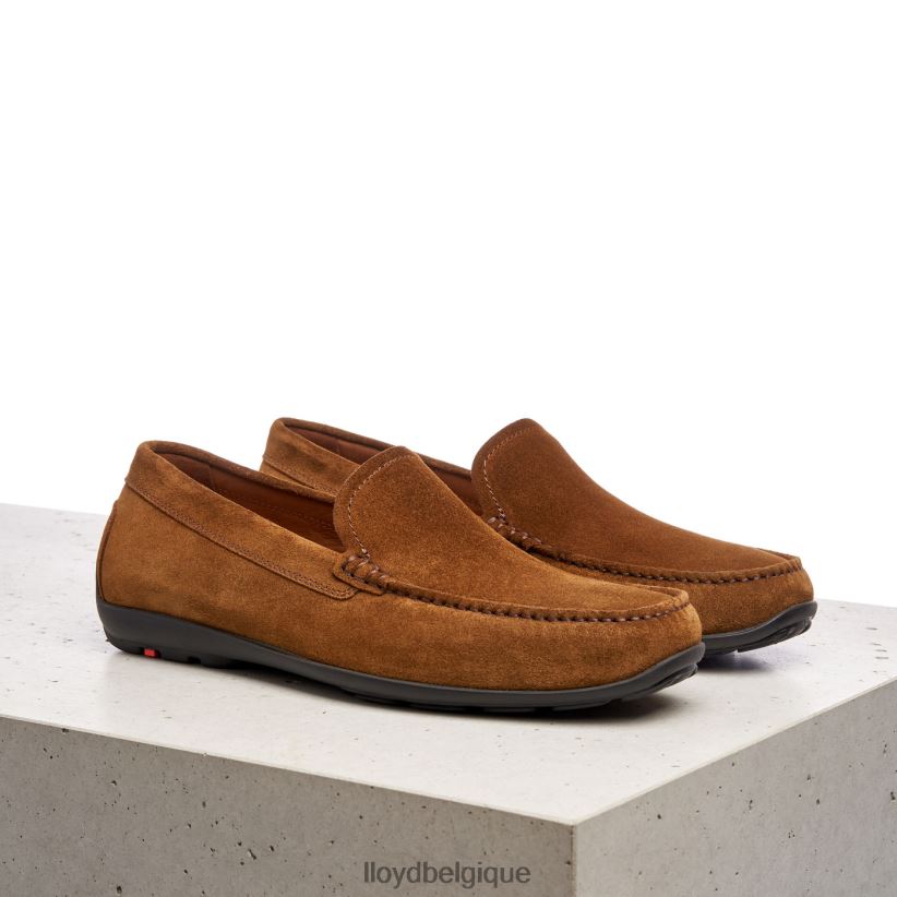 LLOYD Émilio Hommes brun 4Z6Z66596 chaussures
