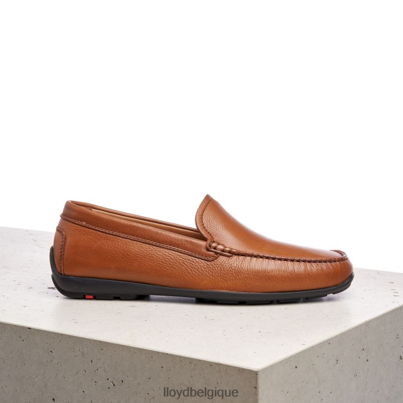 LLOYD Émilio Hommes brun 4Z6Z66603 chaussures