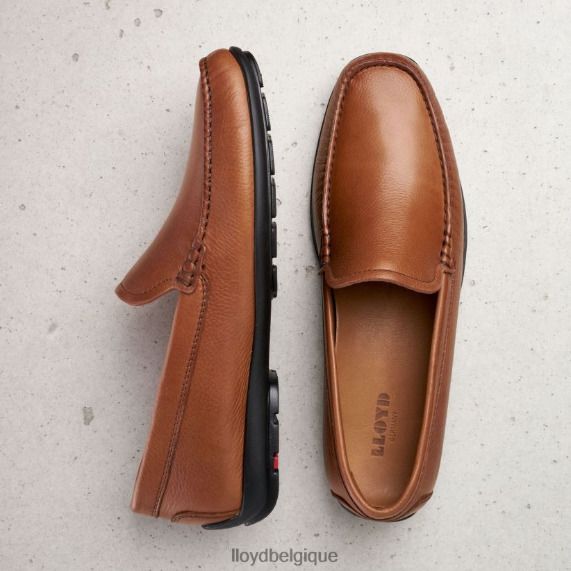 LLOYD Émilio Hommes brun 4Z6Z66603 chaussures