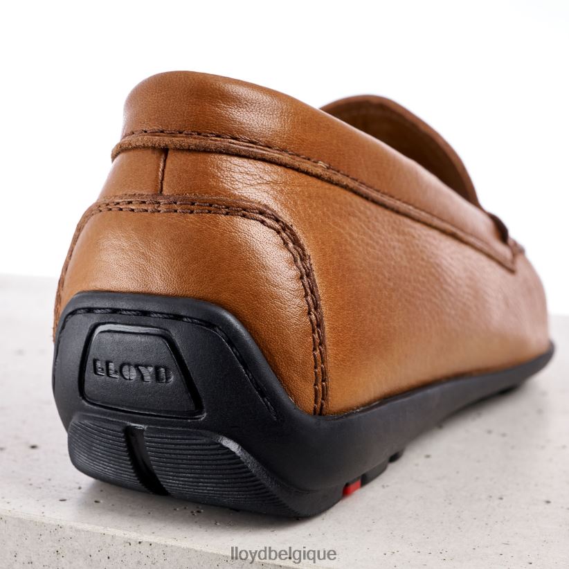 LLOYD Émilio Hommes brun 4Z6Z66603 chaussures