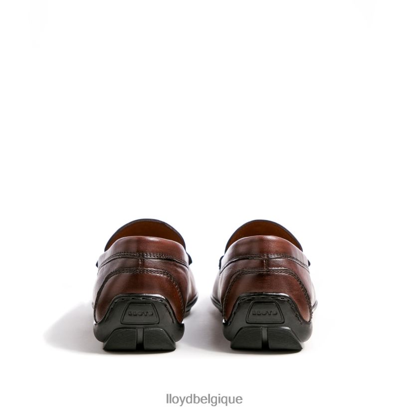 LLOYD Émilio Hommes brun 4Z6Z66618 chaussures