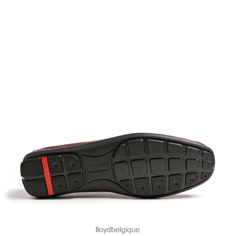 LLOYD Émilio Hommes brun 4Z6Z66618 chaussures