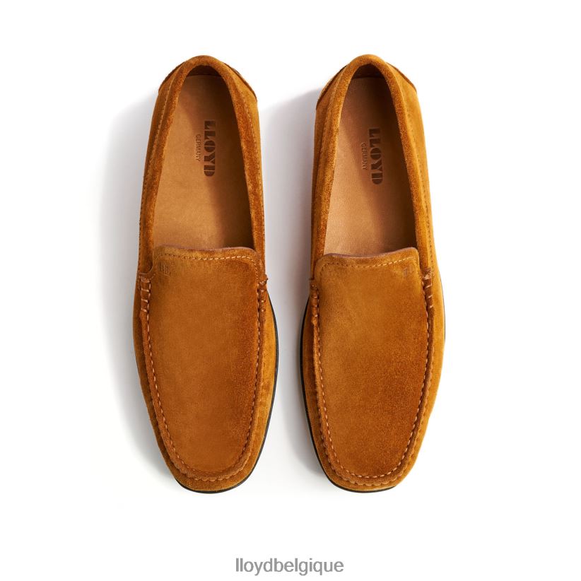 LLOYD Émilio Hommes brun 4Z6Z66620 chaussures