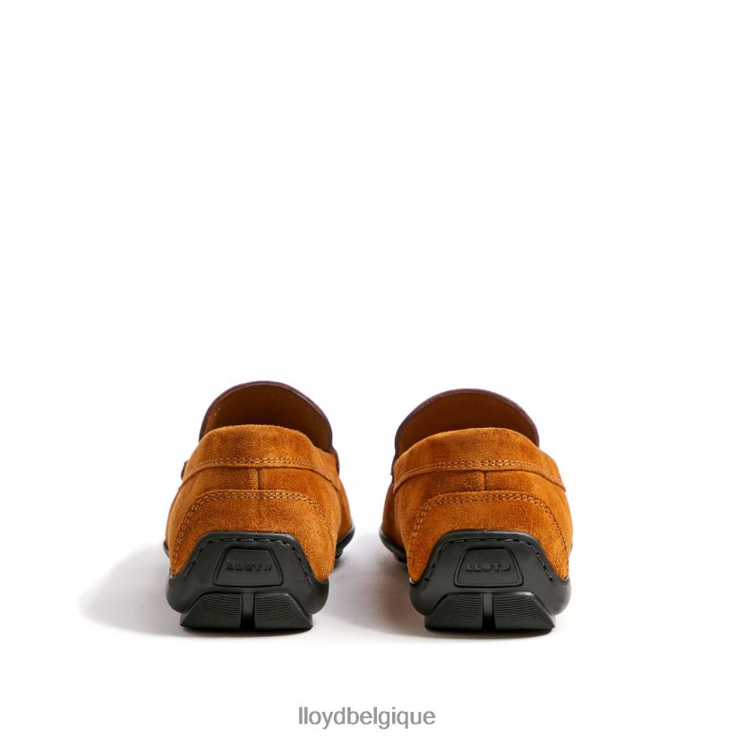 LLOYD Émilio Hommes brun 4Z6Z66620 chaussures