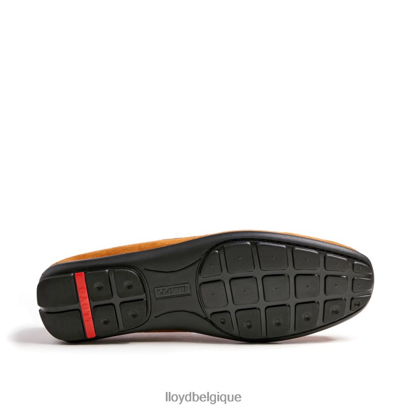 LLOYD Émilio Hommes brun 4Z6Z66620 chaussures