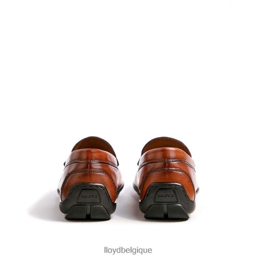 LLOYD Émilio Hommes brun 4Z6Z66621 chaussures