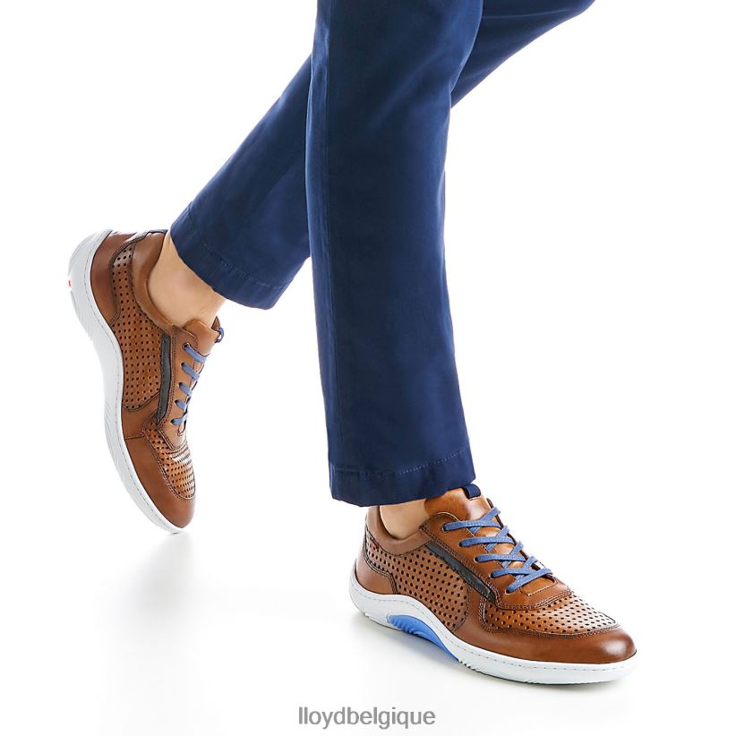 LLOYD à propos Hommes brun 4Z6Z66415 chaussures