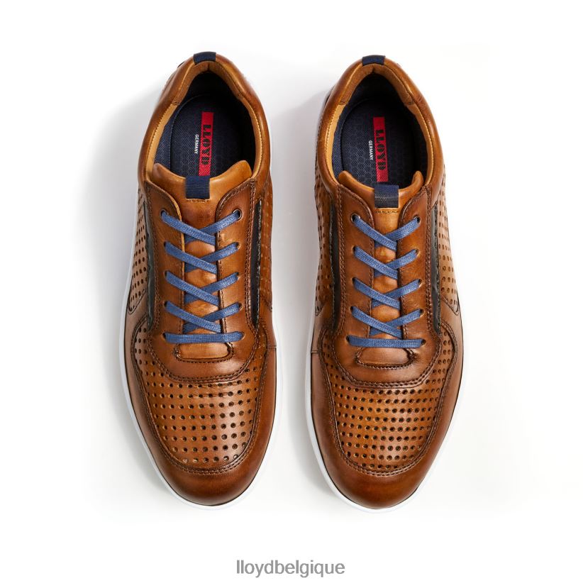 LLOYD à propos Hommes brun 4Z6Z66415 chaussures