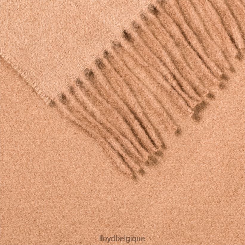 LLOYD écharpe en laine/cachemire femmes beige 4Z6Z661306 accessoires