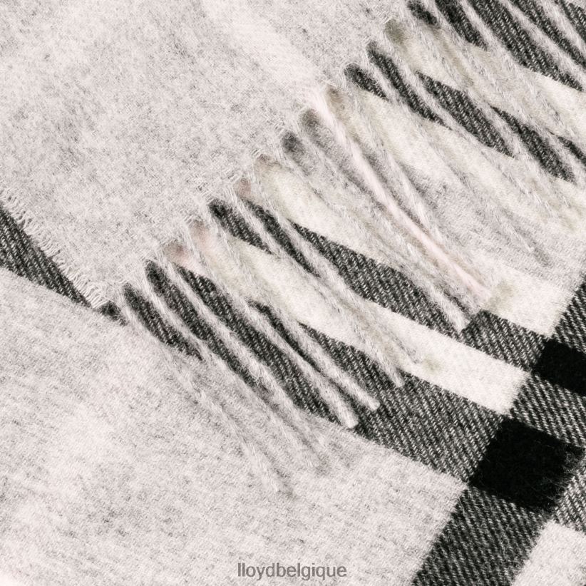 LLOYD écharpe en laine/cachemire femmes gris 4Z6Z661307 accessoires