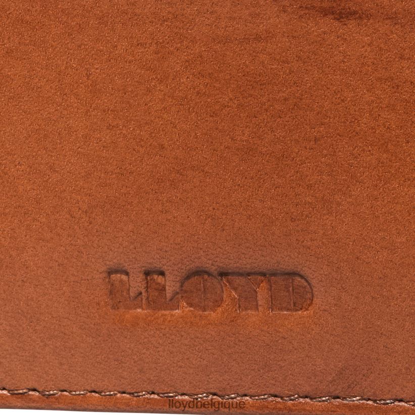 LLOYD étui pour carte de crédit Hommes brun 4Z6Z66661 accessoires