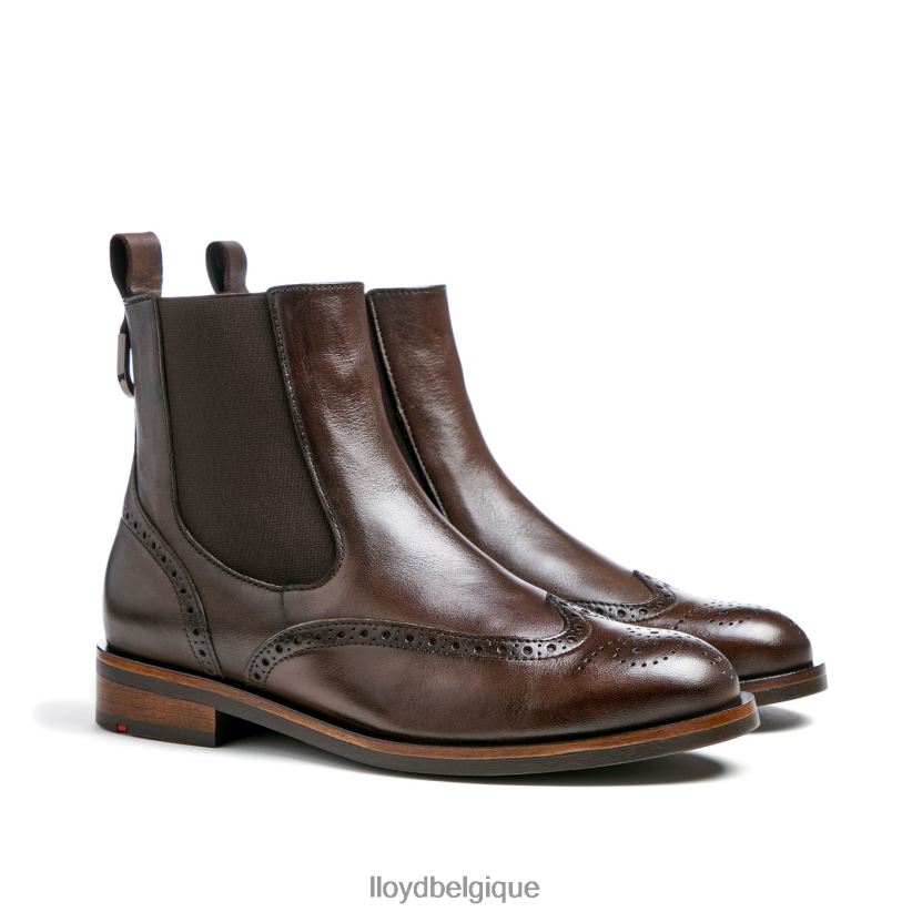 LLOYD bottine classique femmes brun 4Z6Z66905 chaussures
