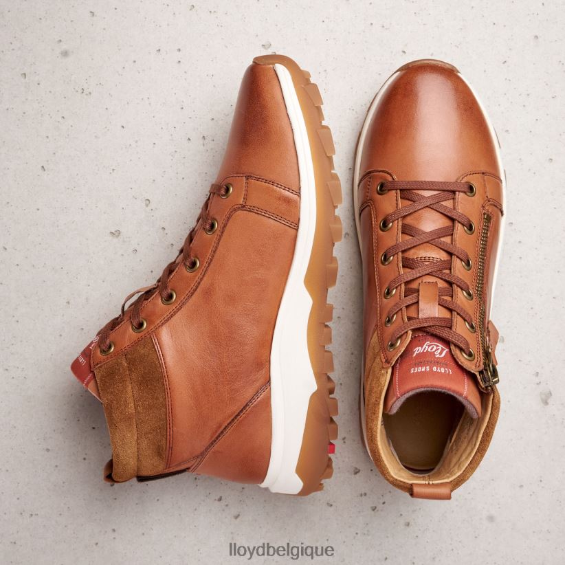 LLOYD bottines en cuir lisse femmes brun 4Z6Z66866 chaussures