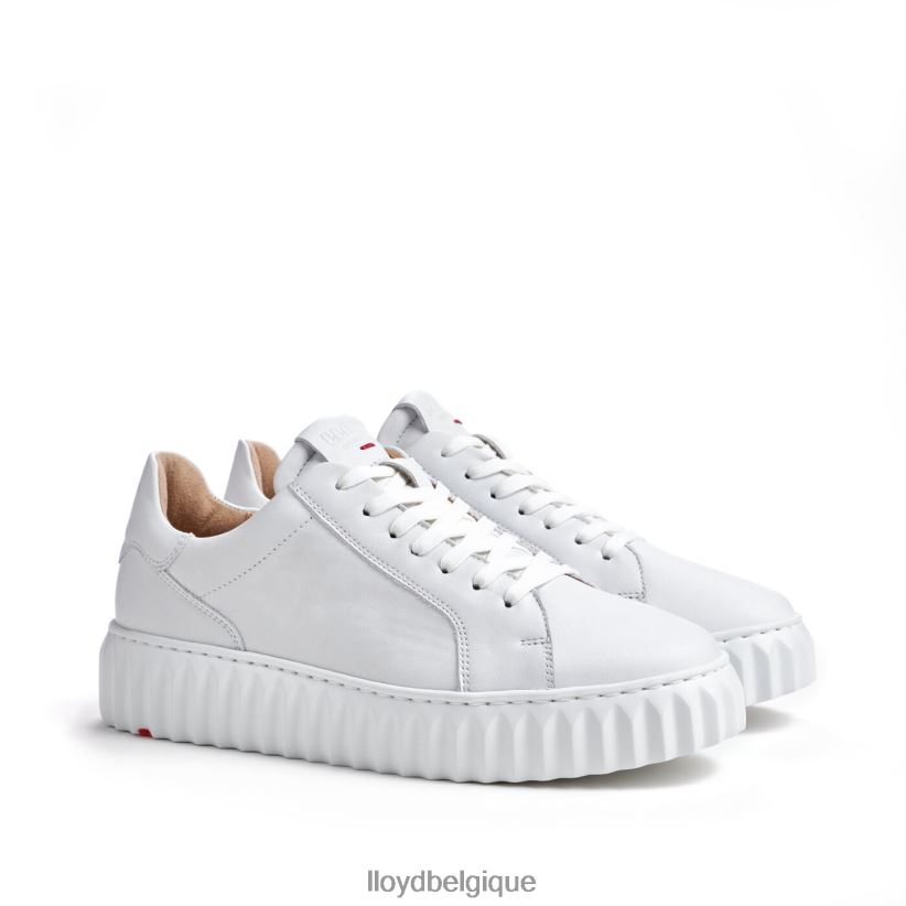 LLOYD sneaker basse femmes blanc 4Z6Z66761 chaussures