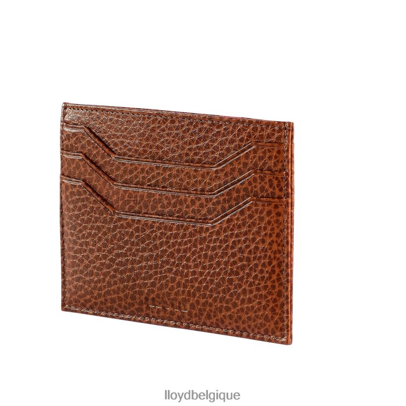 LLOYD titulaire de la carte Hommes brun 4Z6Z66657 accessoires