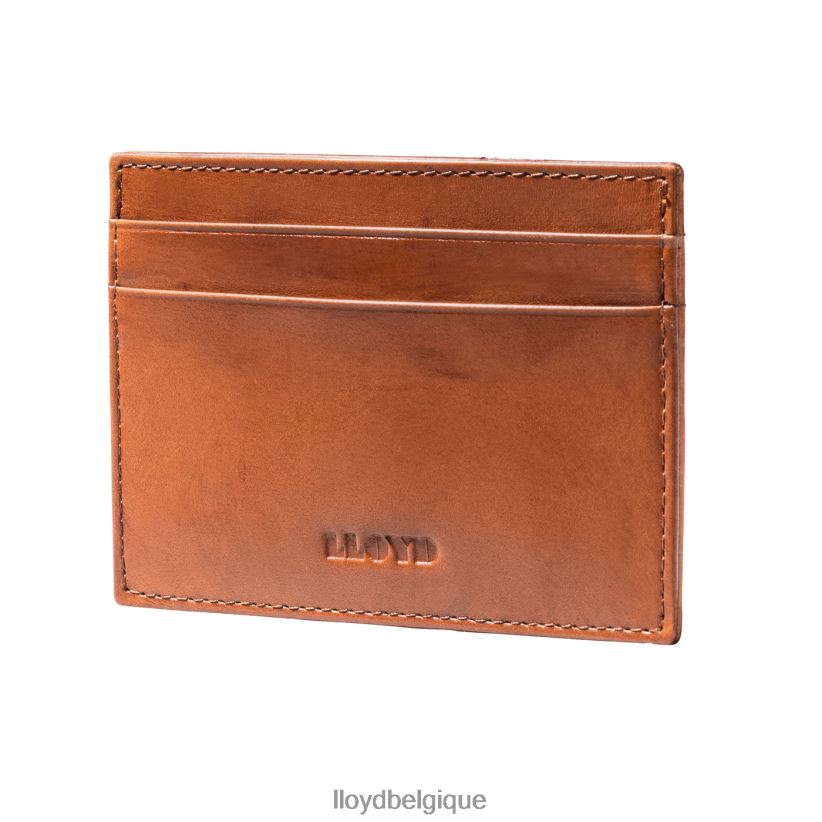 LLOYD étui pour carte de crédit Hommes brun 4Z6Z66661 accessoires