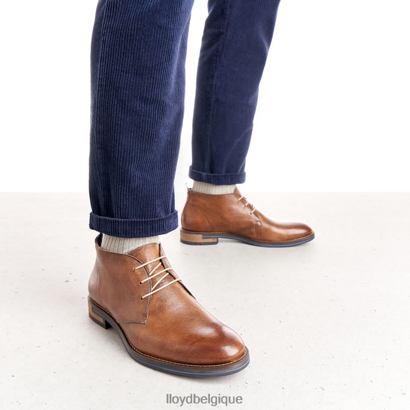 LLOYD Daniel Hommes brun 4Z6Z66549 chaussures