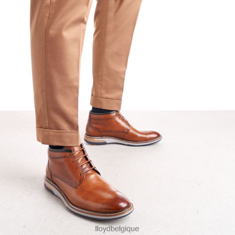 LLOYD Gijón Hommes brun 4Z6Z66556 chaussures