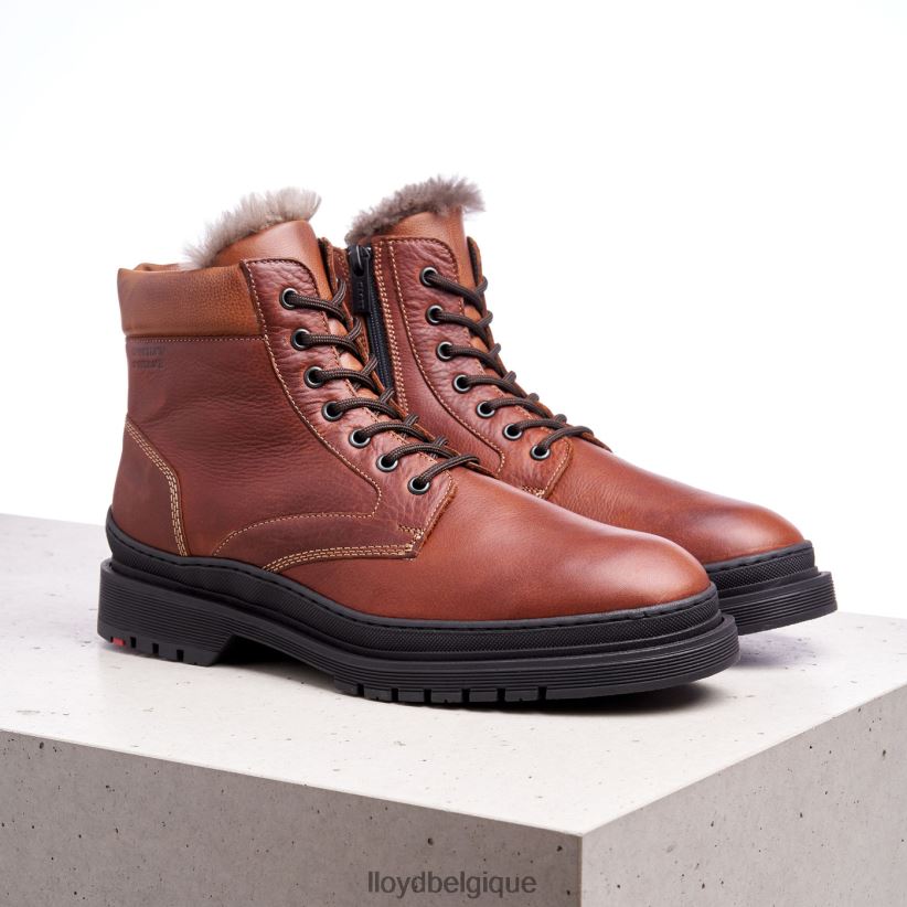 LLOYD Hollis Hommes brun 4Z6Z66537 chaussures