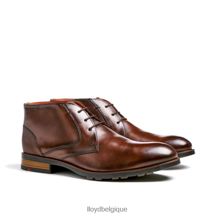 LLOYD Jeffrey Hommes brun 4Z6Z66471 chaussures