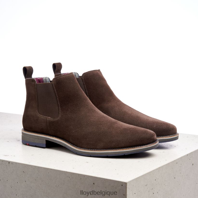 LLOYD Léon Hommes brun 4Z6Z66524 chaussures