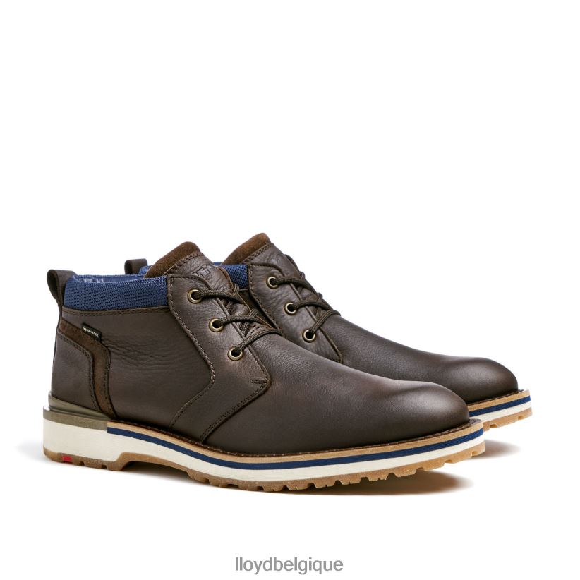 LLOYD Las Vegas Hommes brun 4Z6Z66512 chaussures