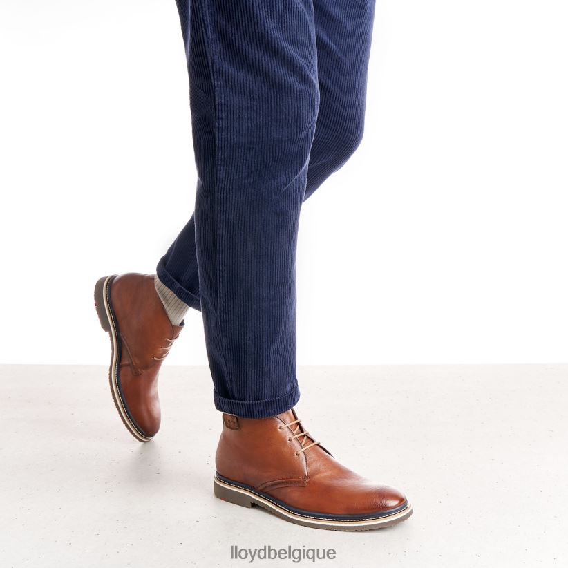LLOYD Norko Hommes brun 4Z6Z66554 chaussures