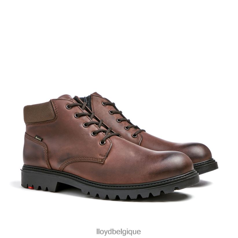 LLOYD Vancouver Hommes brun 4Z6Z66534 chaussures
