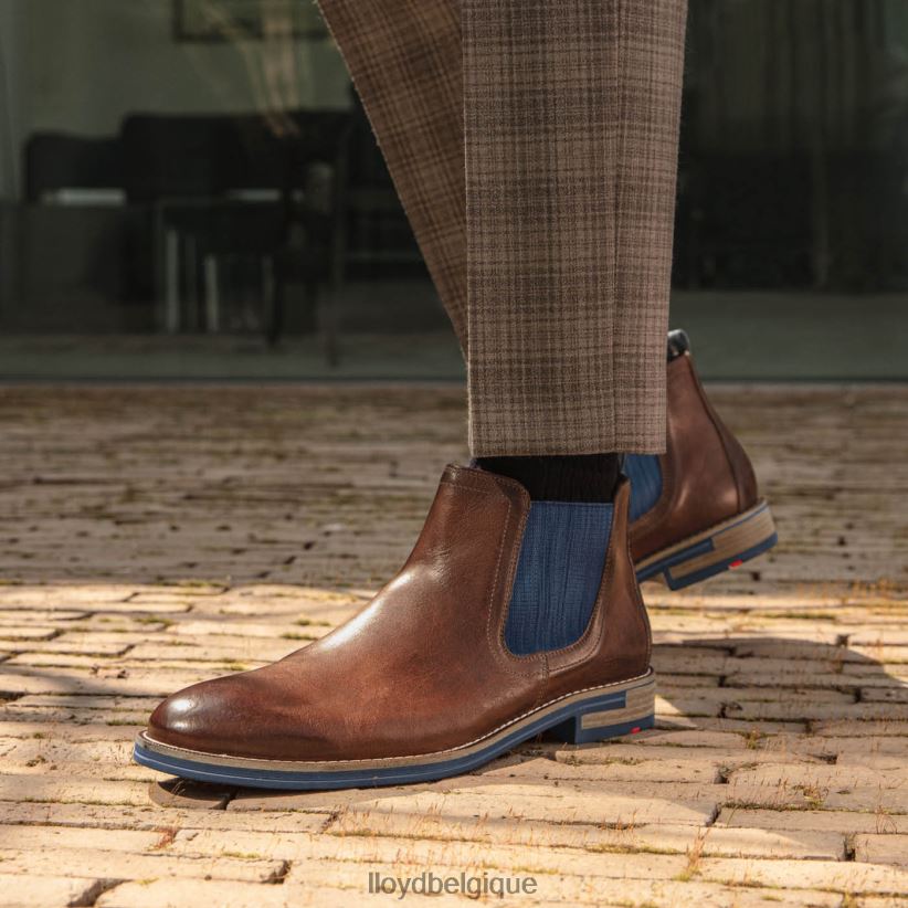 LLOYD dario Hommes brun 4Z6Z661343 chaussures