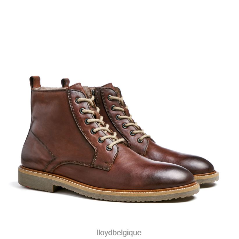 LLOYD darwin Hommes brun 4Z6Z66475 chaussures