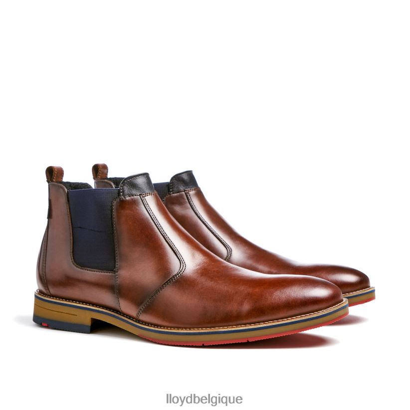 LLOYD vésuv Hommes brun 4Z6Z66145 chaussures