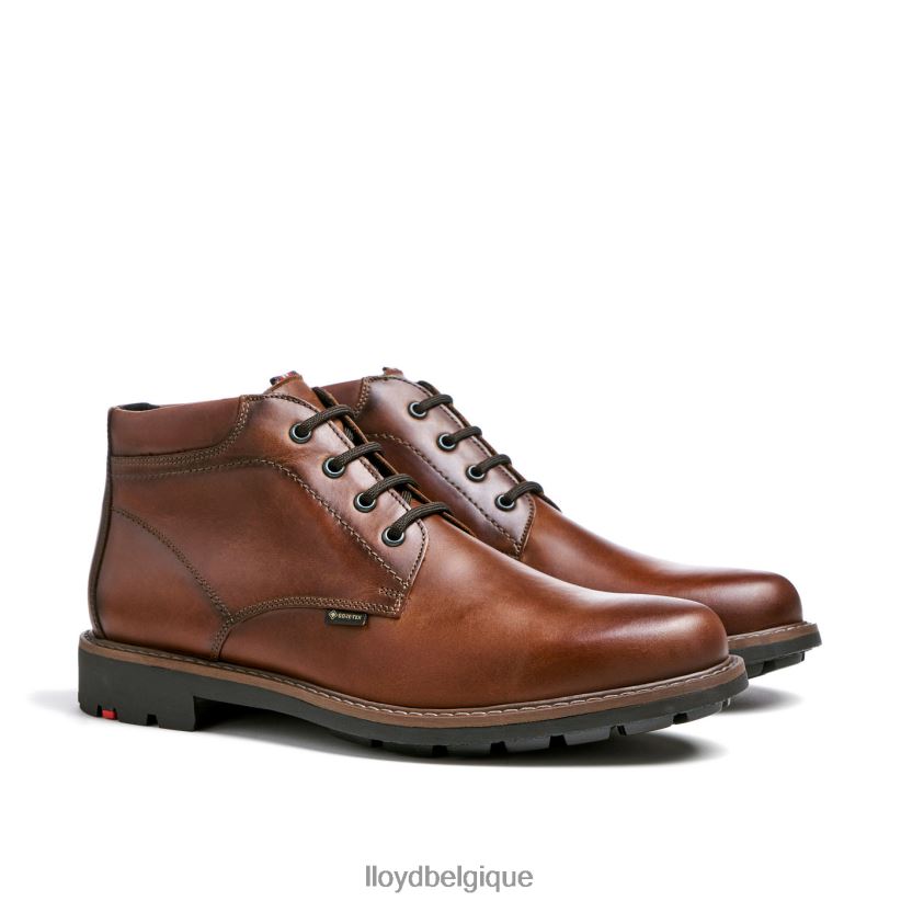 LLOYD visco Hommes brun 4Z6Z66515 chaussures