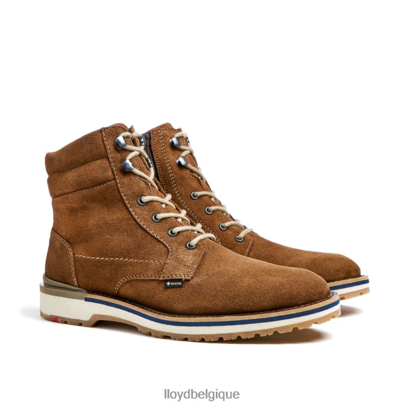 LLOYD voir Hommes brun 4Z6Z66520 chaussures