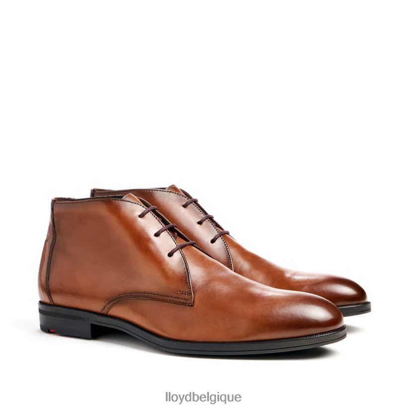 LLOYD Feliciano Hommes brun 4Z6Z6654 chaussures