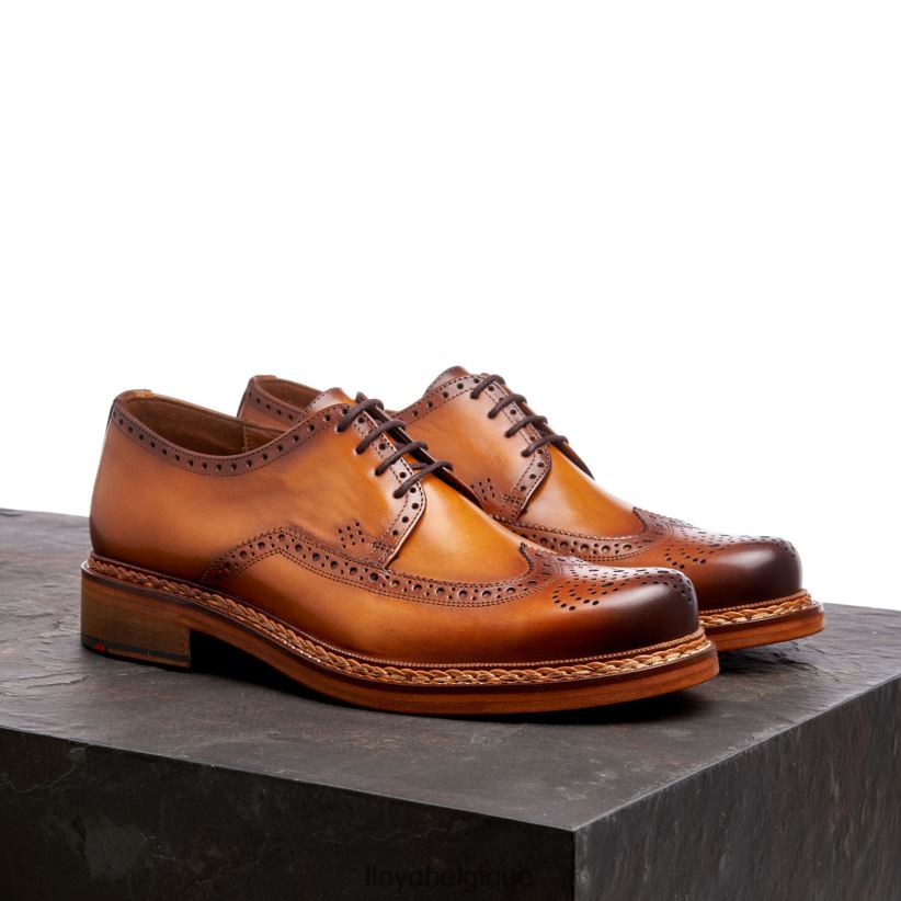 LLOYD Wotan Hommes brun 4Z6Z66163 chaussures