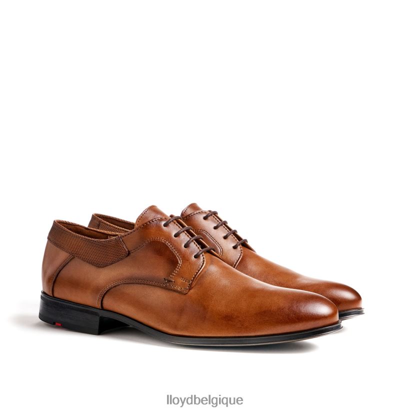 LLOYD monsieur Hommes brun 4Z6Z6691 chaussures