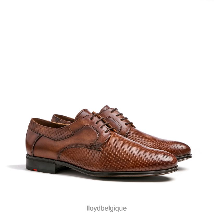 LLOYD Lévine Hommes brun 4Z6Z6687 chaussures