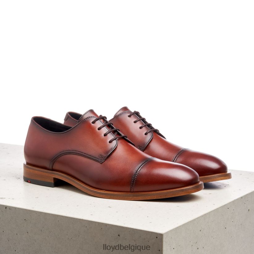 LLOYD Rodney Hommes brun 4Z6Z66195 chaussures