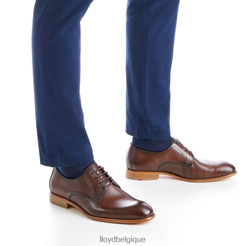 LLOYD Saïgon Hommes brun 4Z6Z66115 chaussures