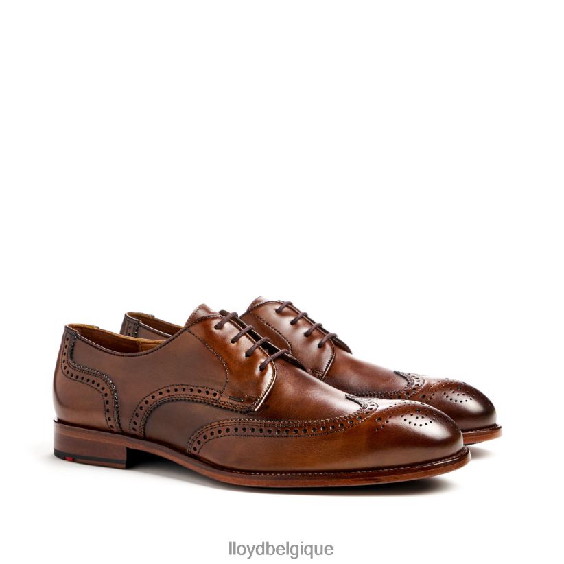LLOYD Stafford Hommes brun 4Z6Z6669 chaussures