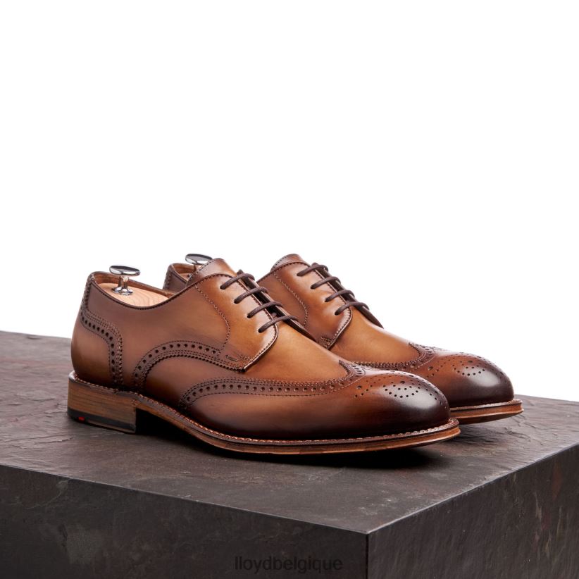 LLOYD Warwick Hommes brun 4Z6Z6674 chaussures