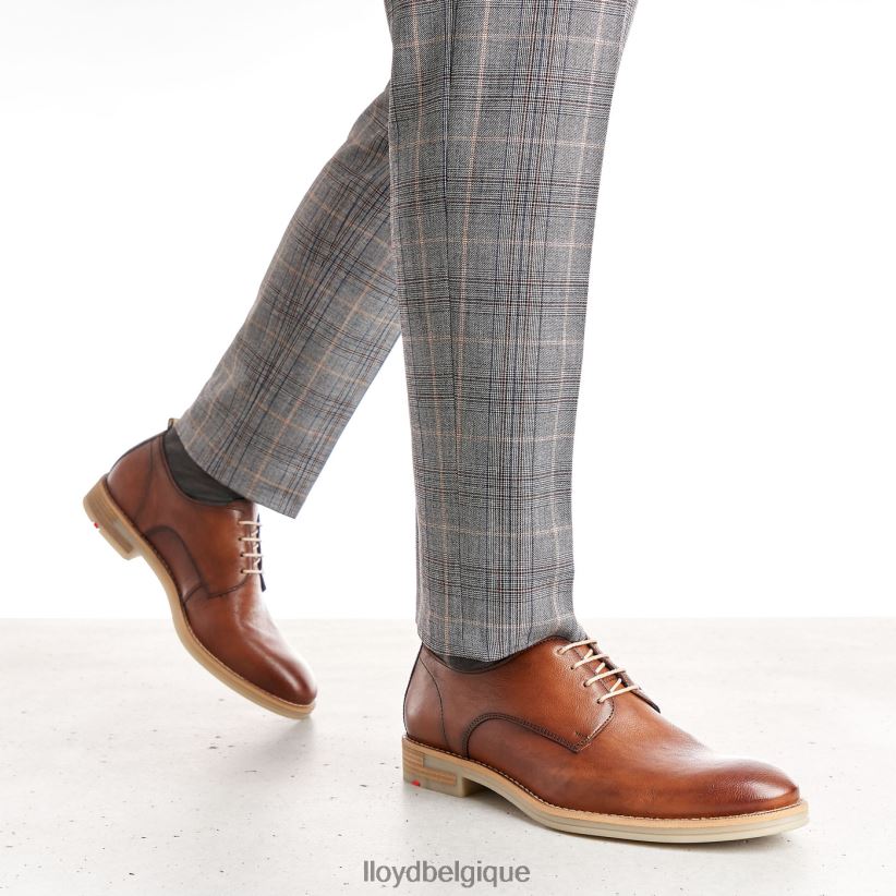 LLOYD dakota Hommes brun 4Z6Z66608 chaussures