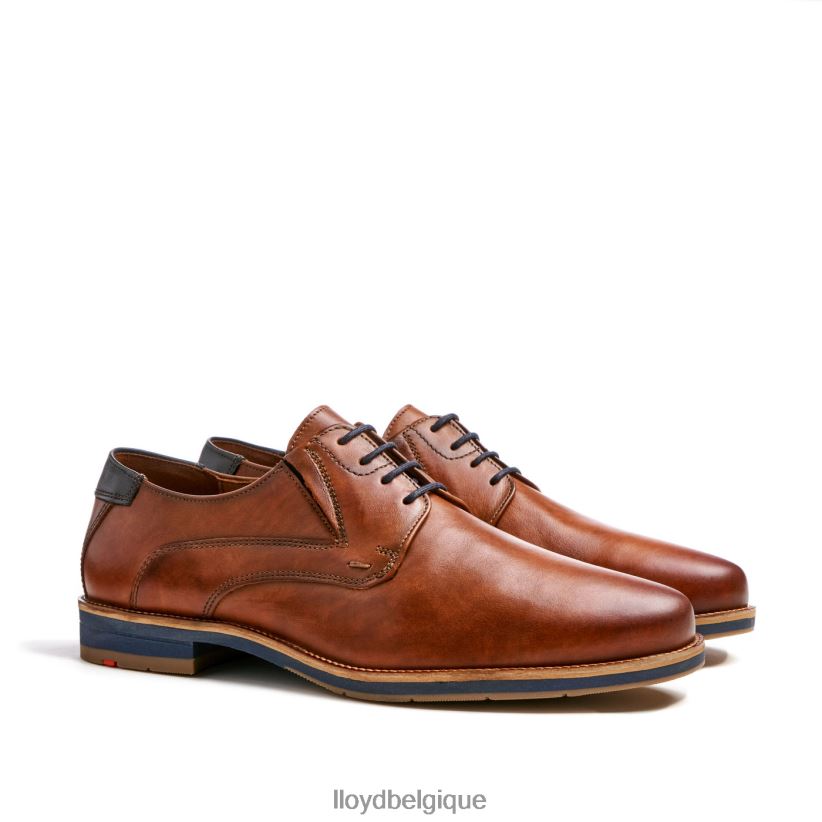 LLOYD kazan (extra-large) Hommes brun 4Z6Z66110 chaussures