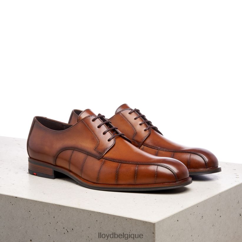 LLOYD saluer Hommes brun 4Z6Z66224 chaussures