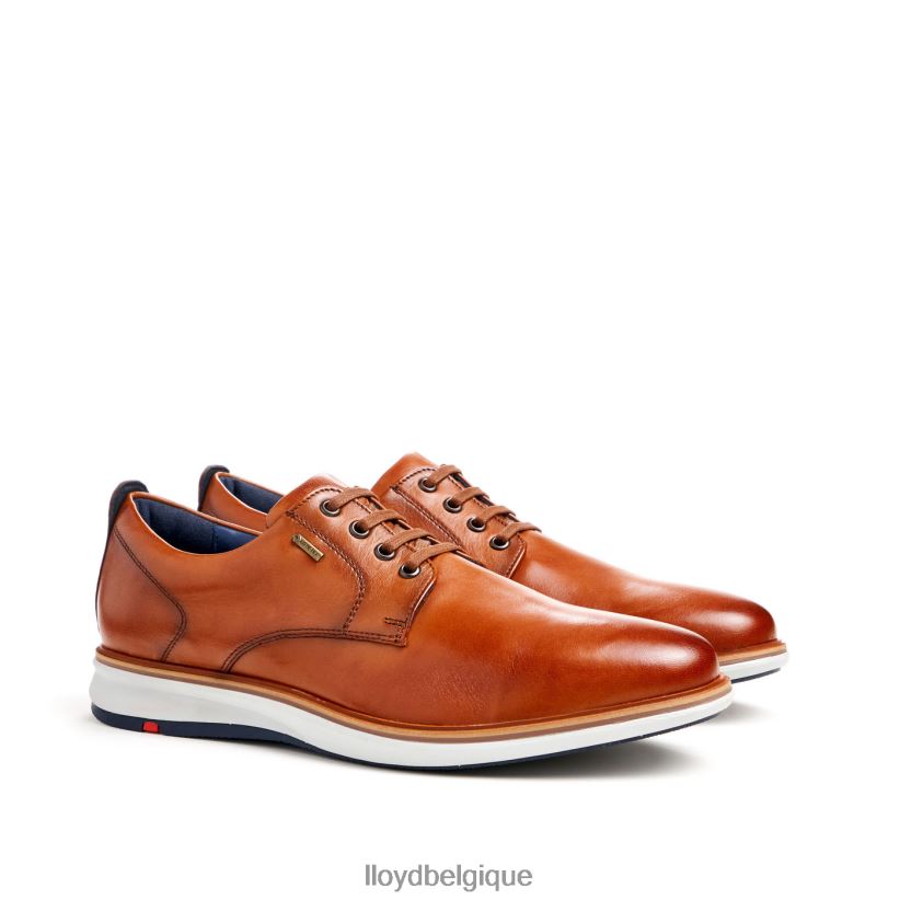 LLOYD vin Hommes brun 4Z6Z66139 chaussures