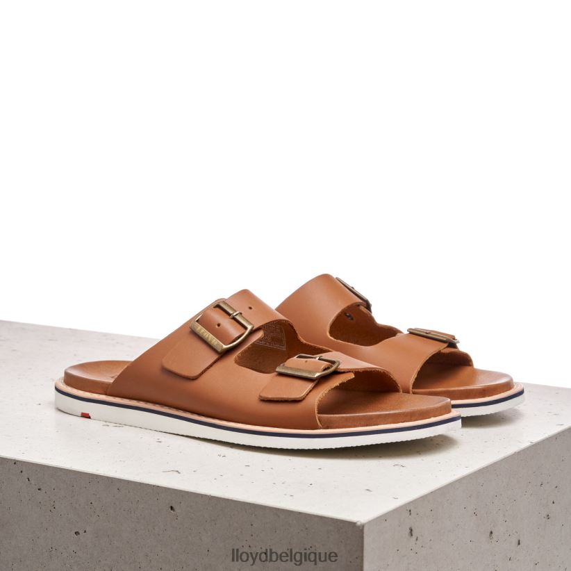 LLOYD Emerson Hommes brun 4Z6Z66579 chaussures