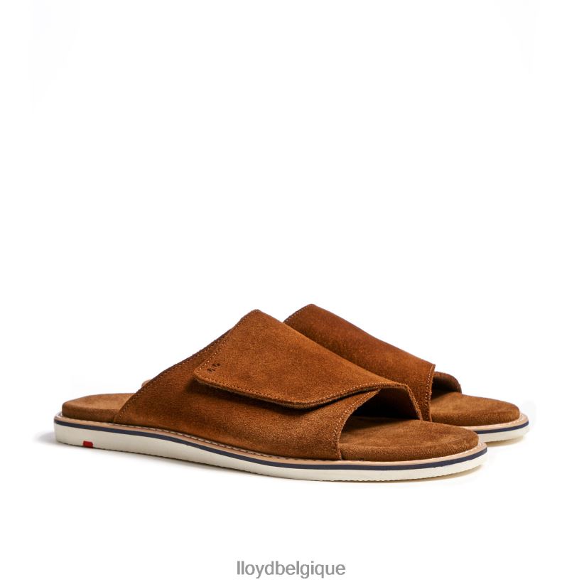 LLOYD Élios Hommes brun 4Z6Z66581 chaussures