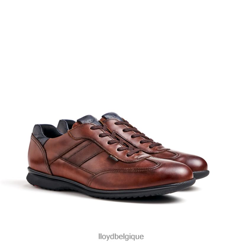 LLOYD Vernon Hommes brun 4Z6Z66136 chaussures